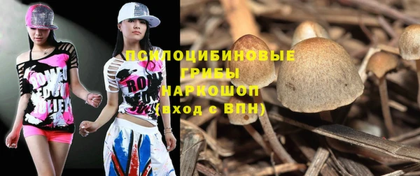 дживик Грязовец