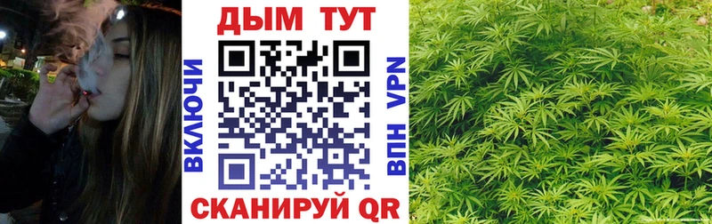 Каннабис гибрид  Кондрово 